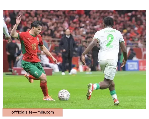 科摩罗门将客串非洲杯比赛引发热议引爆足球界关注